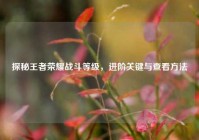 探秘王者荣耀战斗等级，进阶关键与查看方法