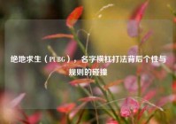 绝地求生（PUBG），名字横杠打法背后个性与规则的碰撞