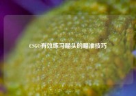 CSGO有效练习瞄头的瞄准技巧