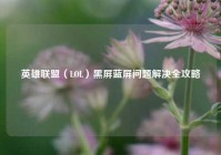 英雄联盟（LOL）黑屏蓝屏问题解决全攻略