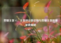 荣耀王者 S7，王者峡谷新征程与荣耀王者所需星数揭秘