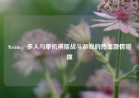 Steam，多人与单机横版战斗游戏的热血激情碰撞