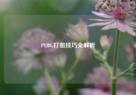 PUBG打狙技巧全解析