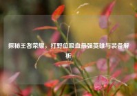 探秘王者荣耀，打野位吸血最强英雄与装备解析
