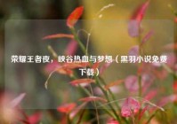 荣耀王者夜，峡谷热血与梦想（黑羽小说免费下载）