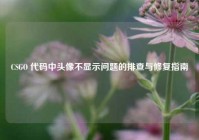CSGO 代码中头像不显示问题的排查与修复指南