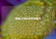 揭秘LOL背后的科技魅力