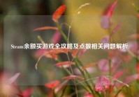 Steam余额买游戏全攻略及点数相关问题解析