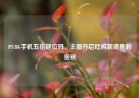 PUBG手机五指键位码，主播开启吃鸡新境界的密钥