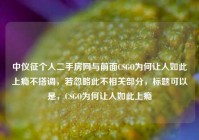中仪征个人二手房网与前面CSGO为何让人如此上瘾不搭调，若忽略此不相关部分，标题可以是，CSGO为何让人如此上瘾