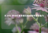 从 PUBG 职业比赛录像完整版探寻竞技魅力