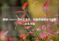 探秘 CSGO C9 战队纪录片，热血荣耀见证与战队成员介绍