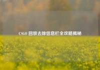 CSGO 回放去除信息栏全攻略揭秘