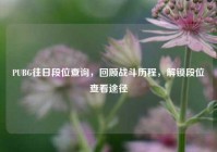 PUBG往日段位查询，回顾战斗历程，解锁段位查看途径