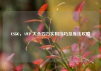 CSGO，AWP 大杀四方实用技巧及身法攻略