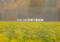 PUBG LITE详细下载指南