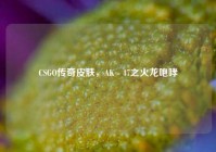 CSGO传奇皮肤，AK - 47之火龙咆哮
