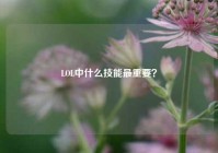 LOL中什么技能最重要？