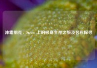 冰霜朋克，Steam 上的极寒生存之旅及名称探寻