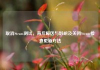 取消Steam测试，背后原因与影响及关闭Steam检查更新方法