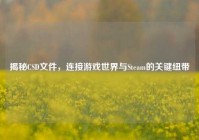 揭秘CSD文件，连接游戏世界与Steam的关键纽带