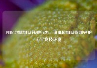 PUBG封禁组队违规行为，设排位组队限制守护公平竞技环境