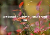 王者荣耀露娜符文搭配解析，揭秘月下无限连奥秘