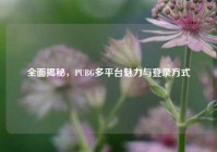 全面揭秘，PUBG多平台魅力与登录方式