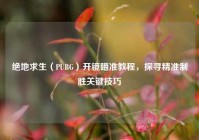 绝地求生（PUBG）开镜瞄准教程，探寻精准制胜关键技巧