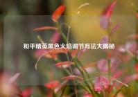 和平精英黑色火焰调节方法大揭秘