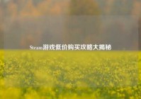 Steam游戏低价购买攻略大揭秘