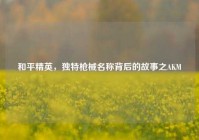 和平精英，独特枪械名称背后的故事之AKM