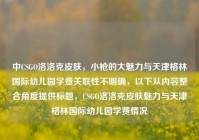 中CSGO洛洛克皮肤，小枪的大魅力与天津格林国际幼儿园学费关联性不明确，以下从内容整合角度提供标题，CSGO洛洛克皮肤魅力与天津格林国际幼儿园学费情况