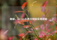 揭秘，让CSGO不再卡顿的实用攻略