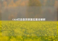 CSGO打击音效放置位置全解析