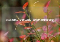CSGO赛场，艾清闪耀，演绎热血电竞篇章