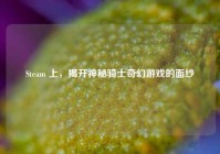 Steam 上，揭开神秘骑士奇幻游戏的面纱