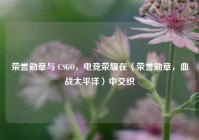 荣誉勋章与 CSGO，电竞荣耀在〈荣誉勋章，血战太平洋〉中交织