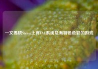一文揭晓Steam上有VAC系统及有特色色彩的游戏