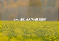 CSGO，虚拟枪火下的孤独图景