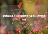 彩虹连衣裙与和平精英的梦幻相遇，绝美图片来袭