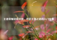 王者荣耀初级攻略，开启王者之路的入门宝典