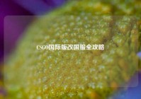 CSGO国际版改国服全攻略