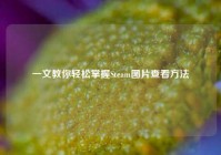 一文教你轻松掌握Steam图片查看方法