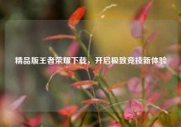 精品版王者荣耀下载，开启极致竞技新体验