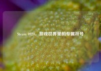 Steam 0923，游戏世界里的专属符号