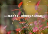 CSGO匪角色大全，领略黑暗世界的独特魅力