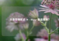 王者荣耀延迟 30 - 40ms，是福是祸？