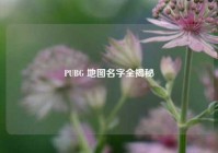 PUBG 地图名字全揭秘