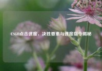 CSGO点击速度，决胜要素与速度指令揭秘